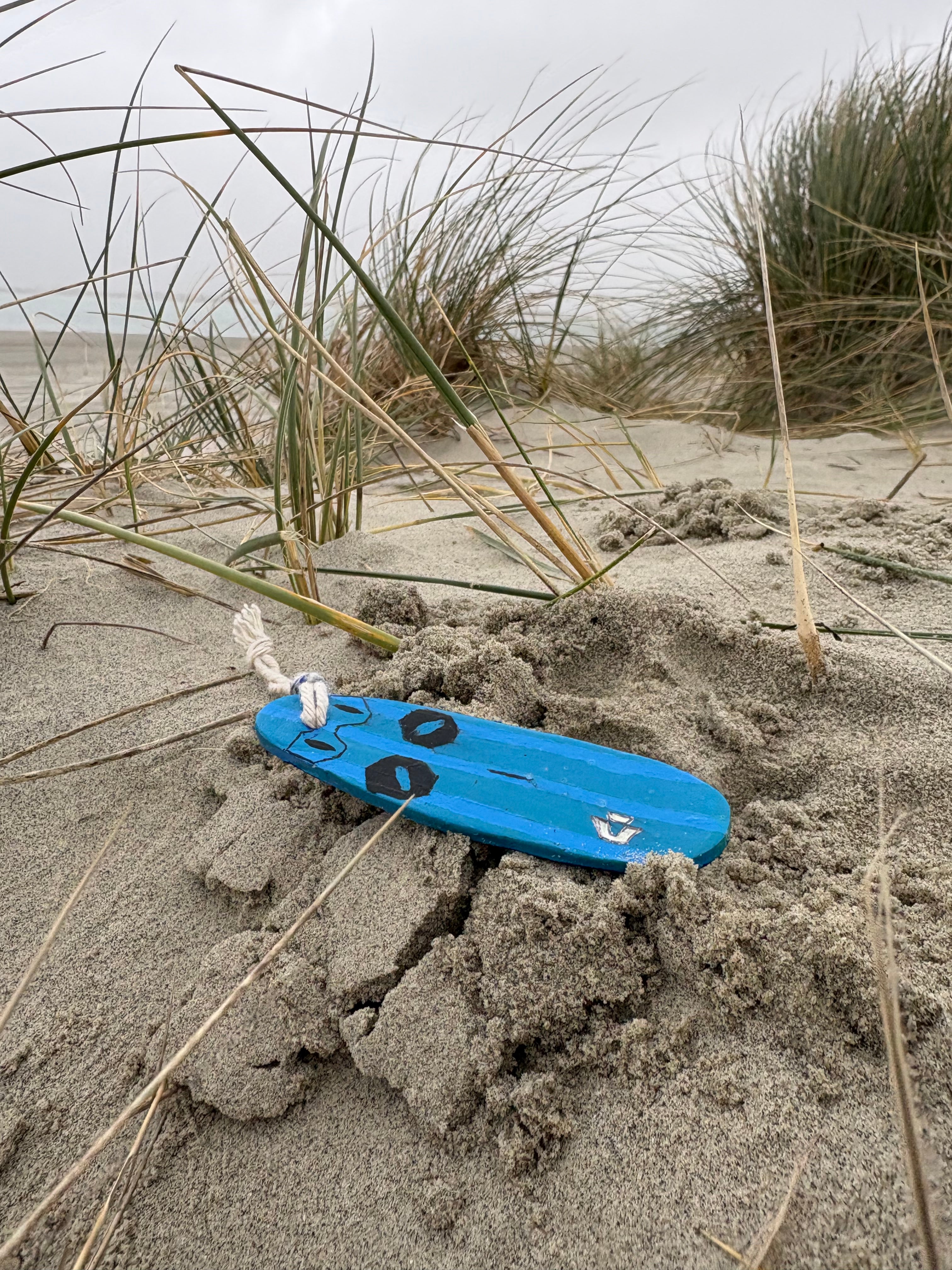 Duotone Windsurf sail,Board Combo